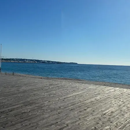Appartement 2 Pieces Avec Terrasse Et Piscine Croisette Cannes